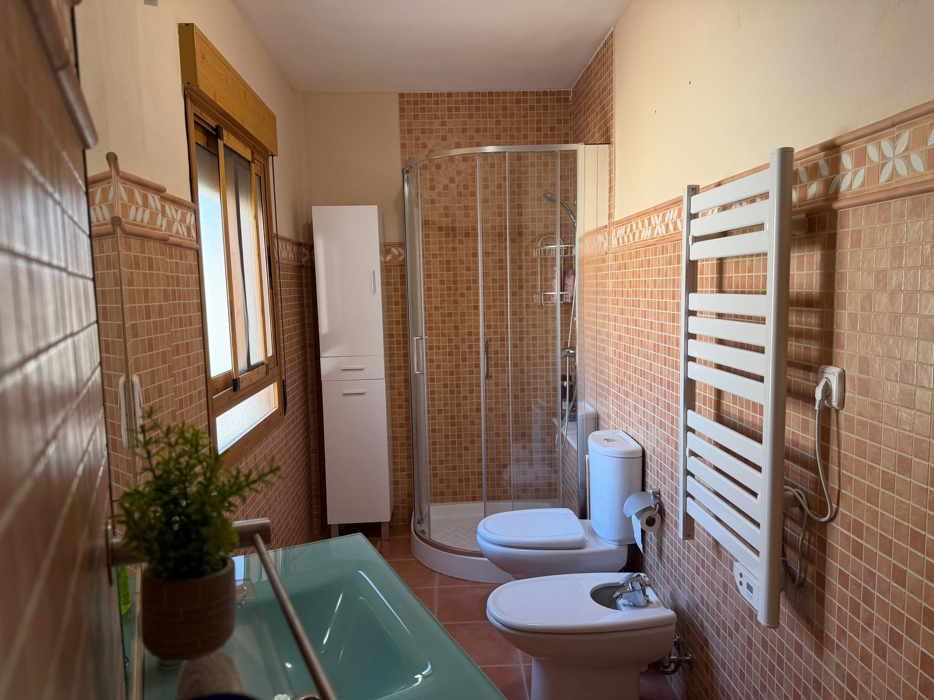 Bathroom with shower and bidet