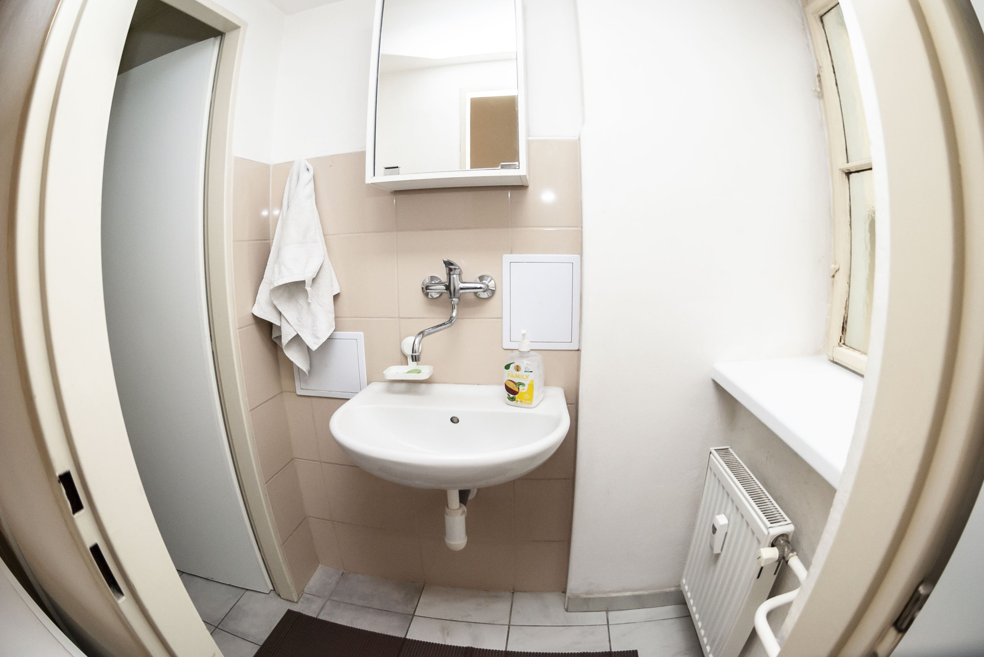 Bathroom sink with mirror cabinet