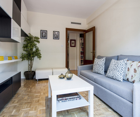 Nice apartment close to Las Ventas Bullring