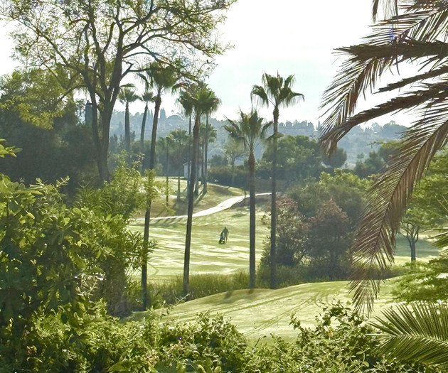 Aloha Golf bordering the residence