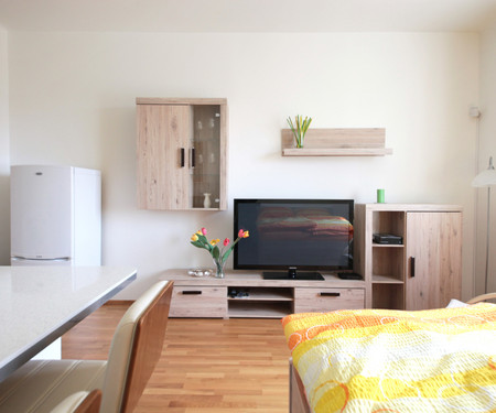 One-bedroom apartment, Fitness, terrace, Prague 10