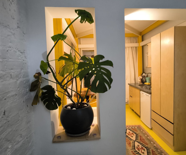 Cozy and historical studio with garden