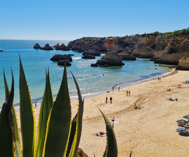 Vista Bonita - Modern apartment with ocean and mou