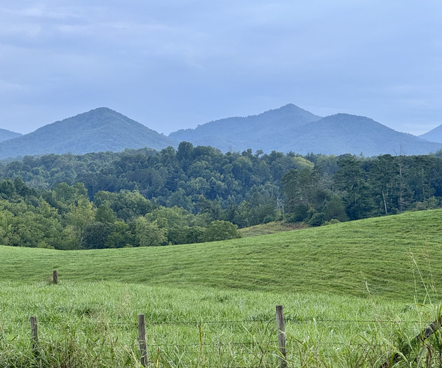 Green hills with mountain backdrop