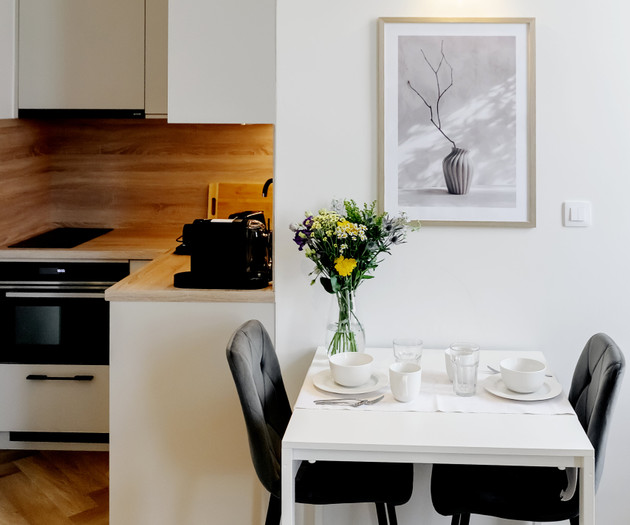 Modern flat in the city center, 1+kk