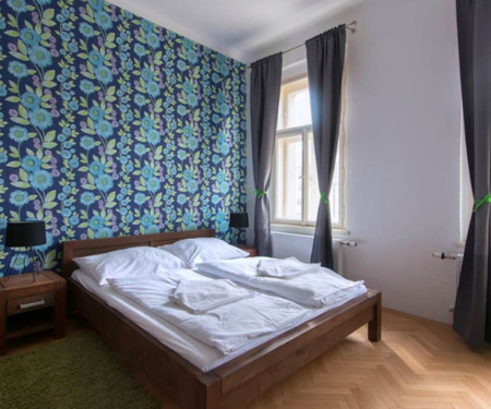 Rooms for rent  - Prague 1 - Vinohrady