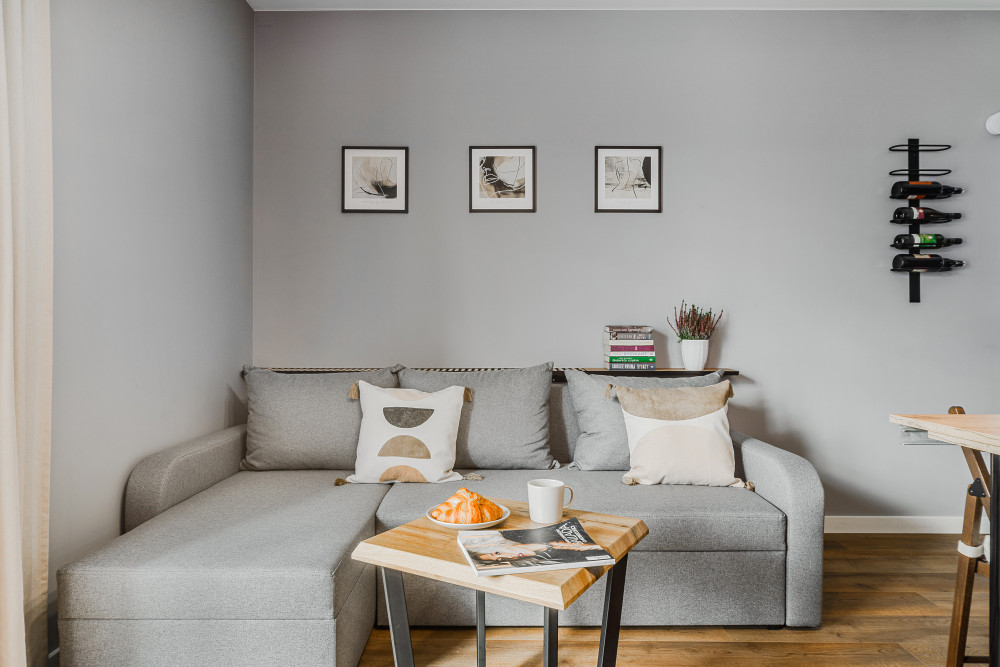 Lumina luxurious apartment with balcony preview