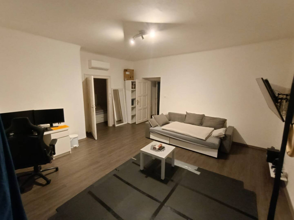 Spacious apartment in the center preview