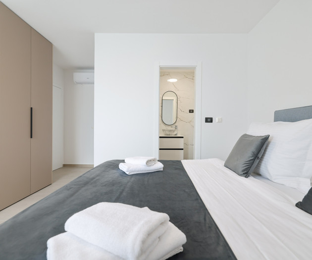 Deluxe apartment VIII