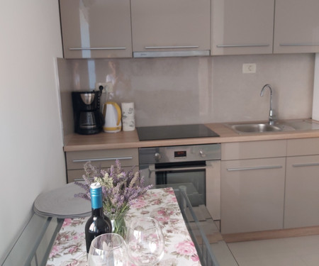 Apartman Cesta Dušana Mavra