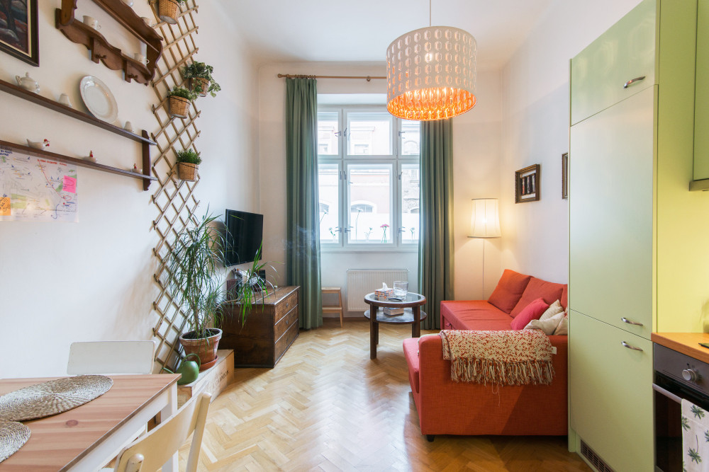 One-bedroom apartment, Nusle, Slavojska