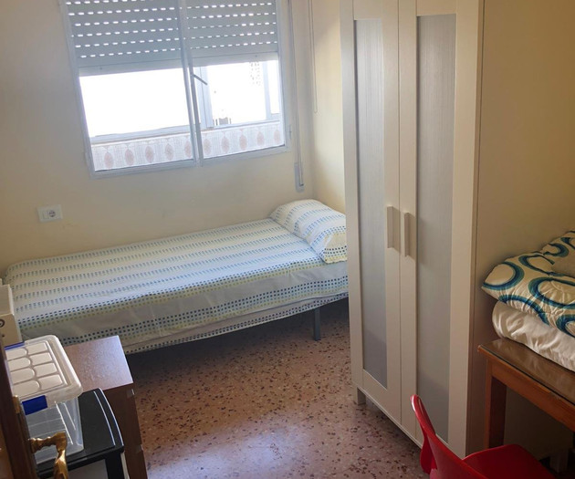 The Big Erasmus Apartment
