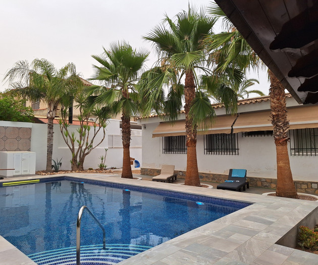 Pool with palm trees patio