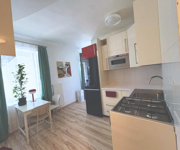 Quiet renovated studio with home office