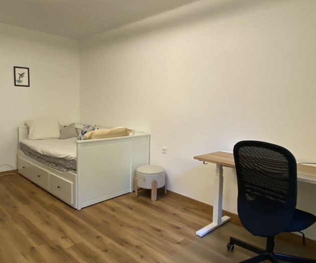 Studio flat in wider center of Prague