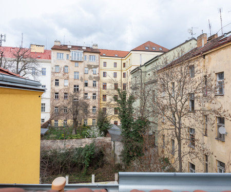 Apartment near Nový Smíchov