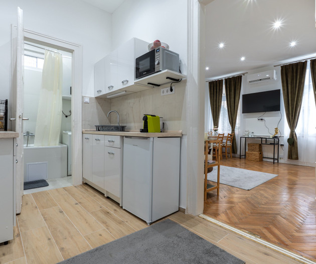 Eco-Parisian Chic 50m² Oasis |1Gbps| District VII