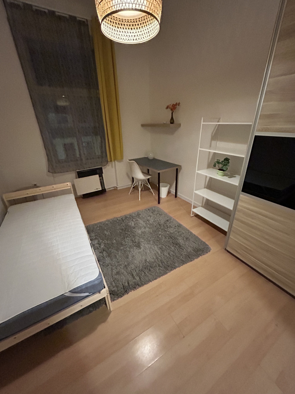Spacious separate room in central area of Prague preview