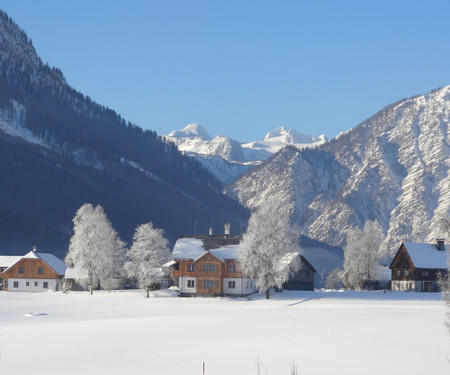 Cosy apartment on an Austrian farm