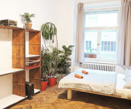 Room in a beautiful large apartment