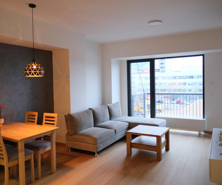 Modern 1BR with Parking in Holešovice