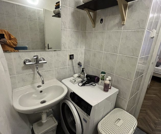 Cozy 1+1 apartment Vinohrady
