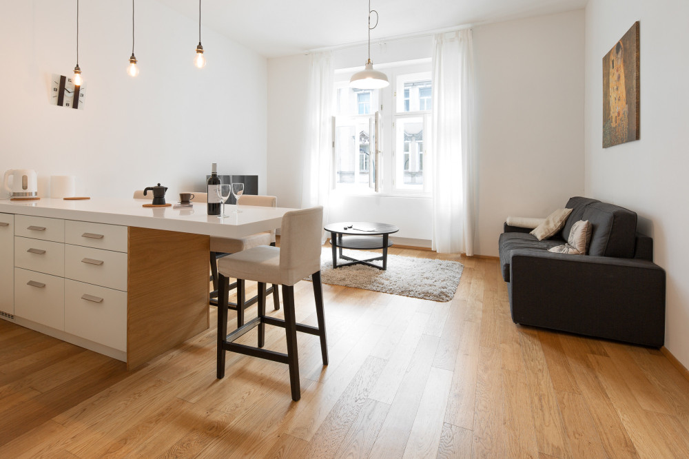 Riverside area apartment near the Dancing house! preview