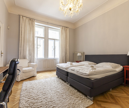 Spacious apartment with Prague castle view