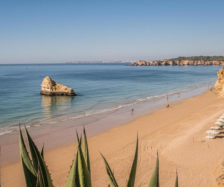 Praia da Rocha Sea View Apartments