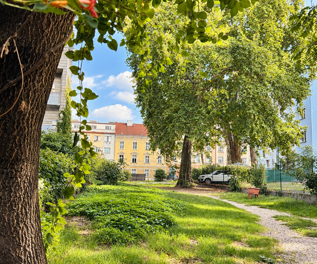 Garden path with trees