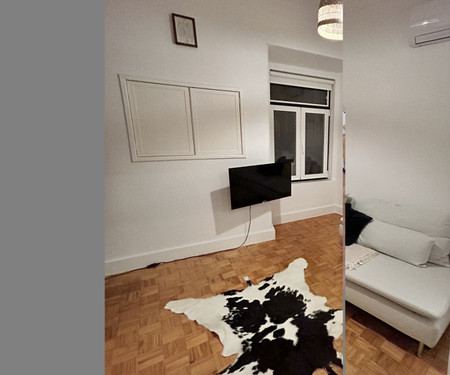 Renovated 1 Bedroom in the City Center Castle View