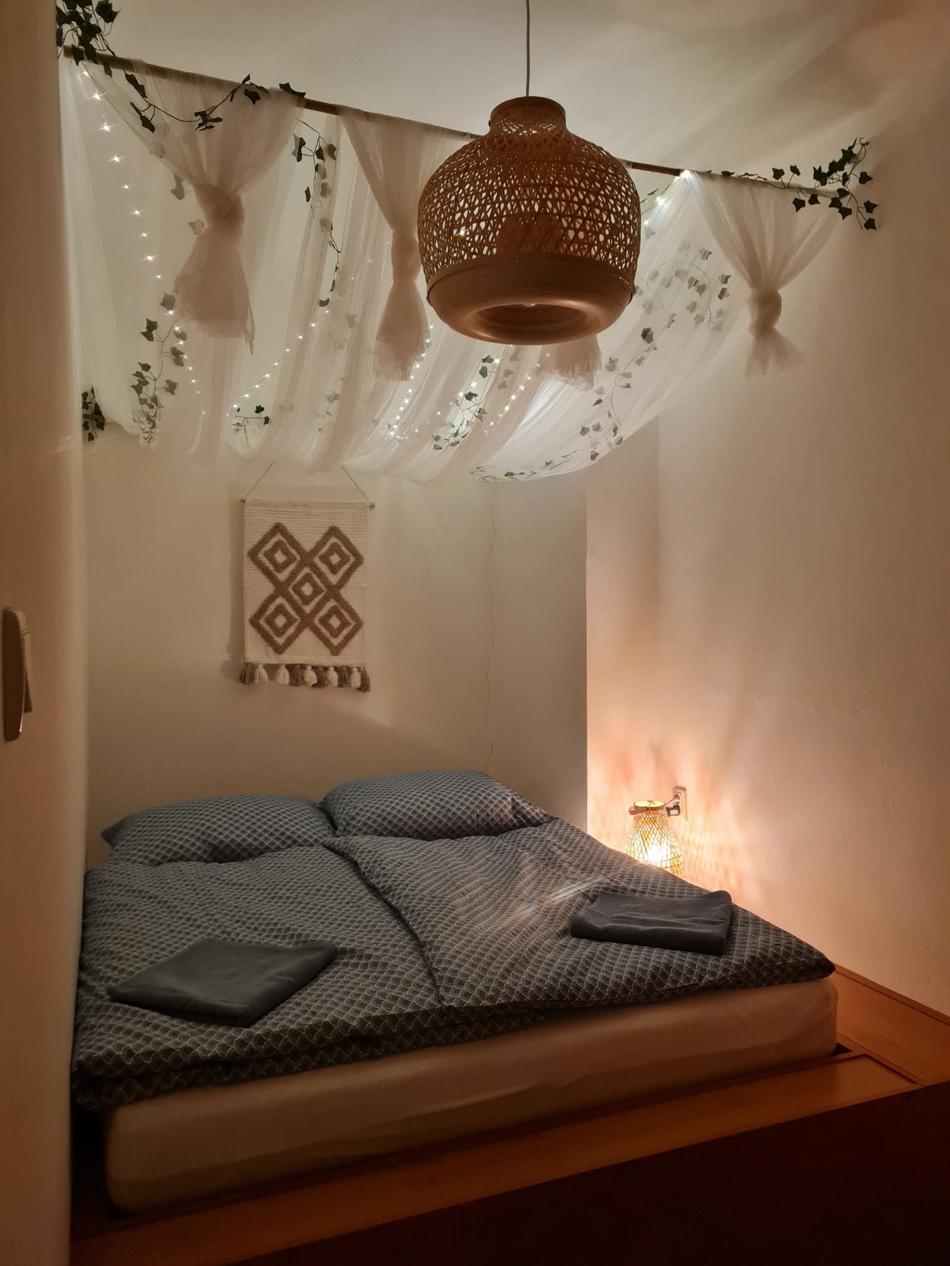 Cozy bedroom with canopy