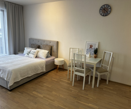 Sunny&Bright Studio Fully furnished Prague 9