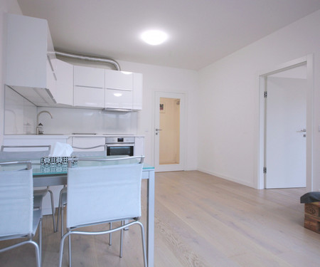 New modern apartment next to Vltava river