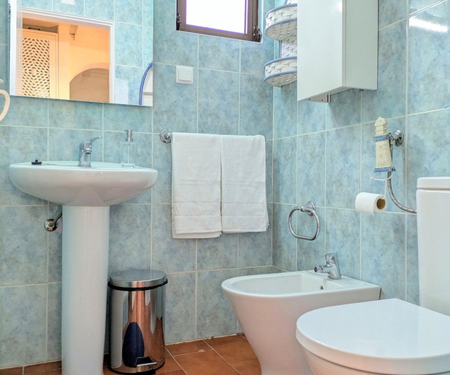A Casa da Figueira, uma figueira, uma história