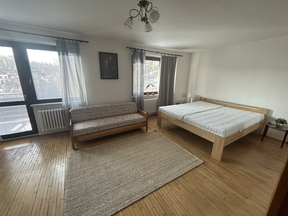 Bright spacious room with  balcony and privacy preview