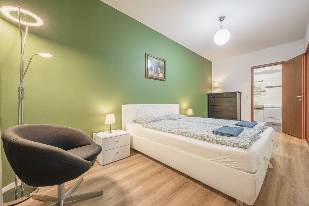 Modern Apartment With Garage preview