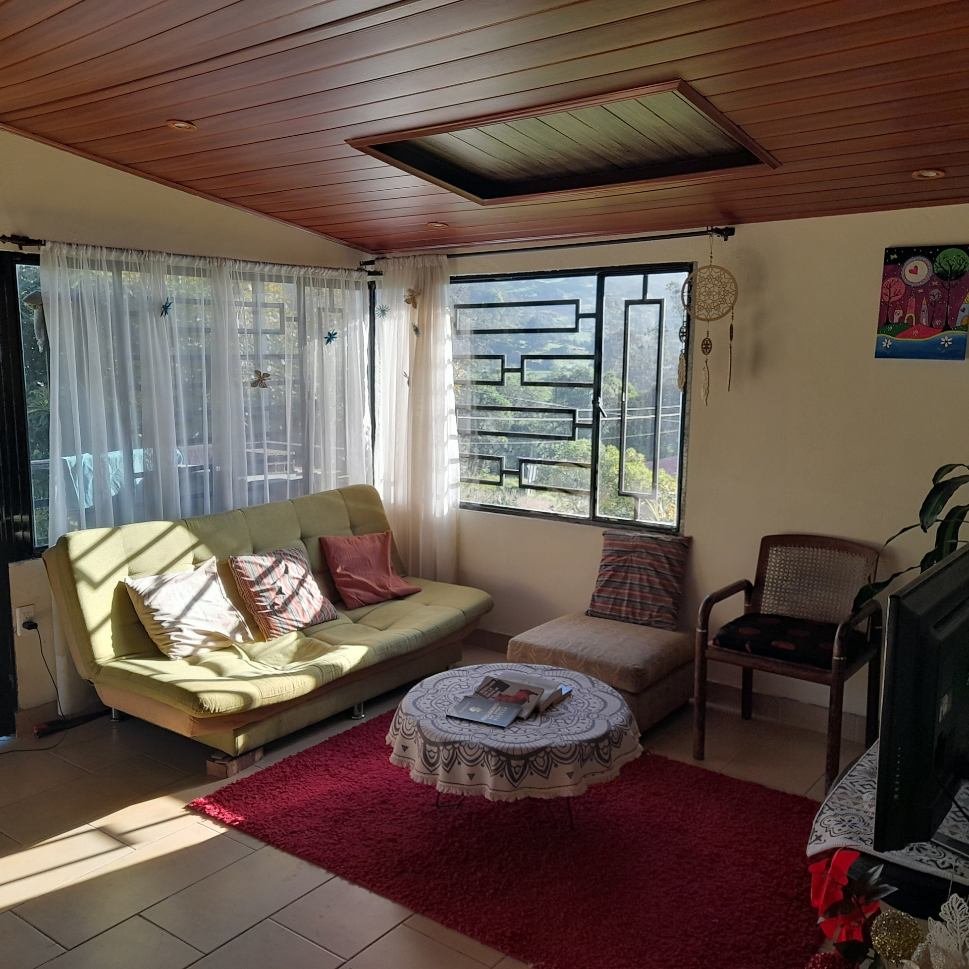 Bright living room wooden ceiling