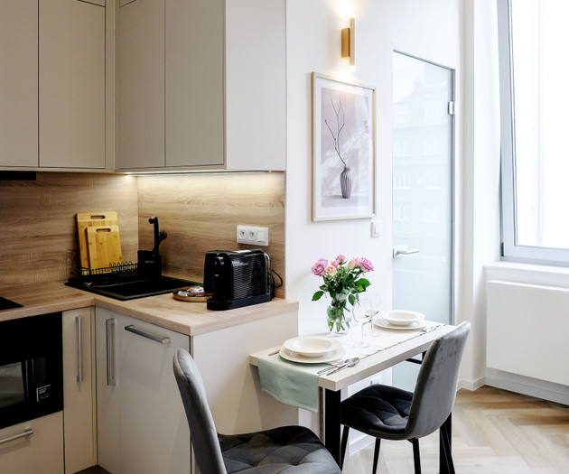 Modern flat in the city center, 1+kk