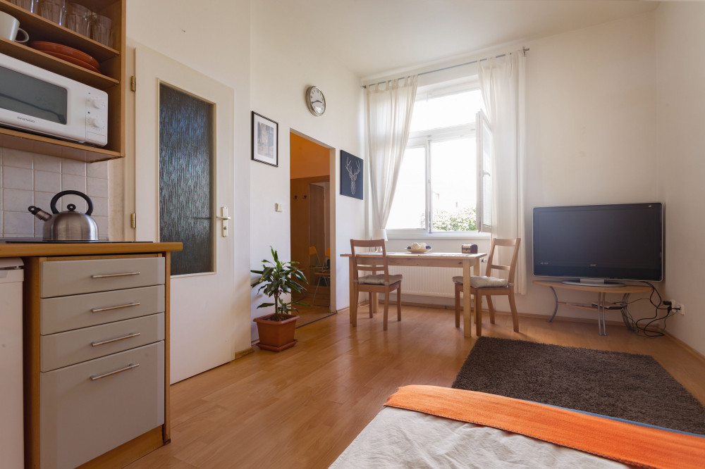 Cozy studio in Prague downtown preview