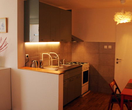 Apartment 1bdr, 45 m2, Dejvice, Prague 6