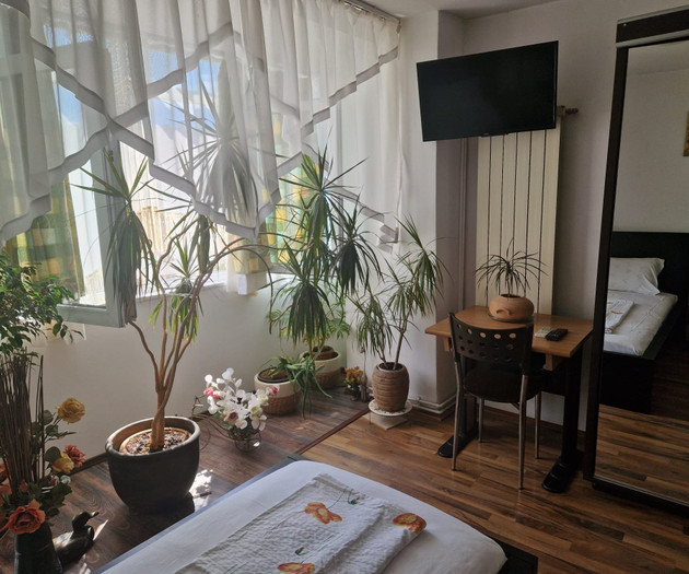 Large Group Accommodation Bucharest, 4 apt,20slips