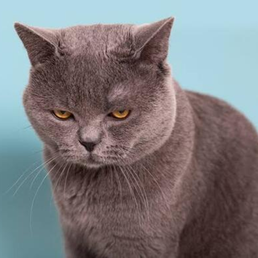 Landlords profile photo
