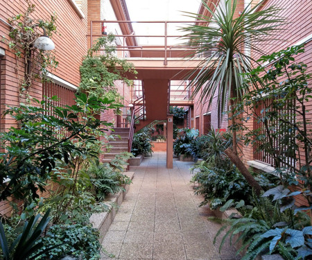 Bright apartment with trees in Barcelona