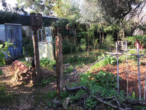 Jardín