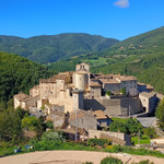 Landlords profile photo