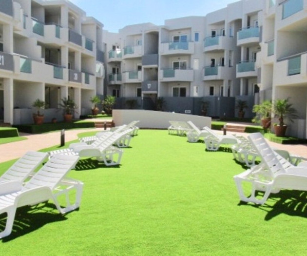 Chocolate Cookie: Pool + terrace + fiber + Desk