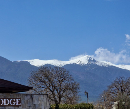 Cozy studio with free pool and Gym in Bansko