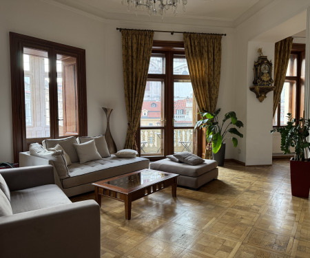 The Grand Vintage Apartment