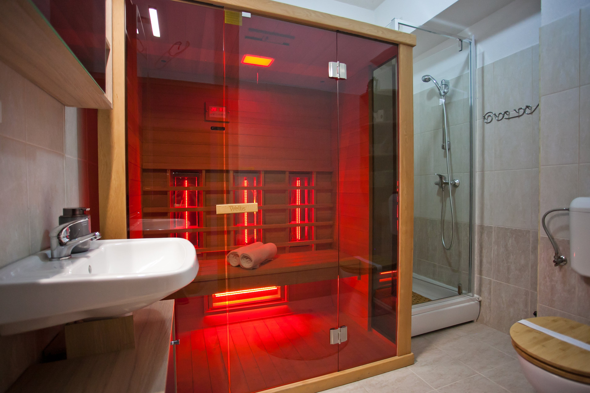 Bathroom with sauna and shower